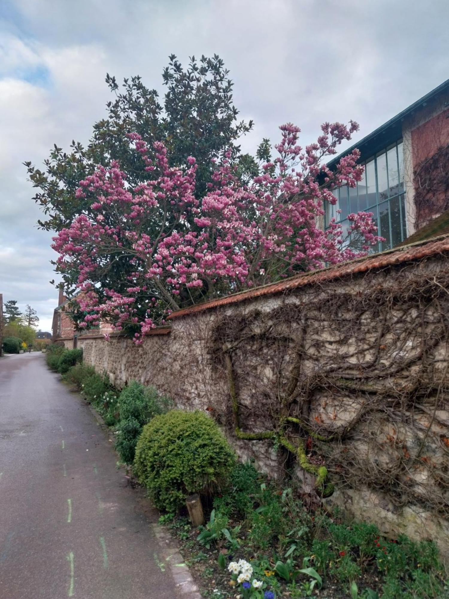 Отель Le Prieure Reposant Port-Villez Экстерьер фото